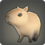 Capybara Pup